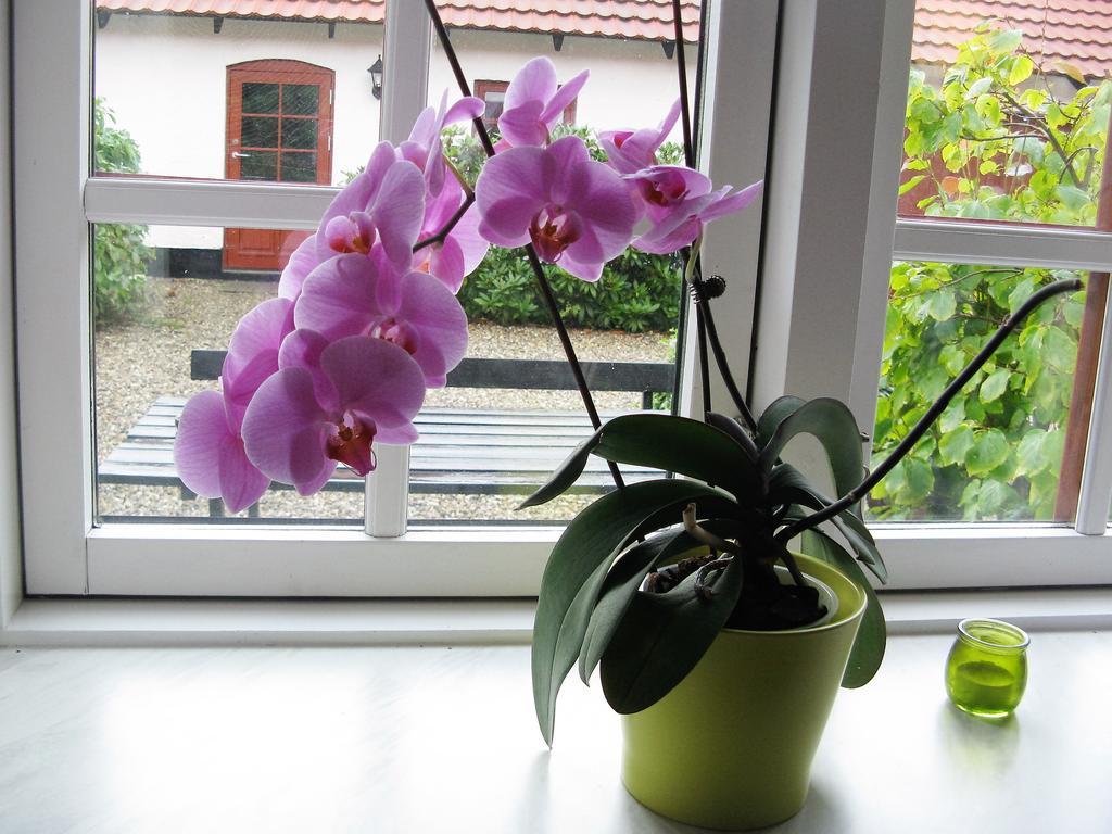 Vranum Guesthouse Viborg Luaran gambar